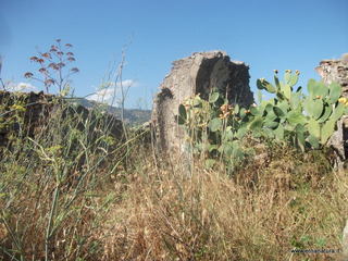 San Michele Forza Agro